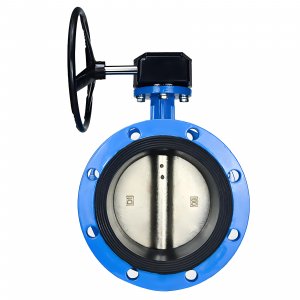 法蘭式蝸輪蝸桿蝶閥DN40，1.6Mpa（橡膠密封